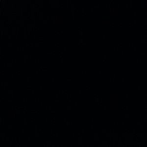 Meet your Posher, Earrol